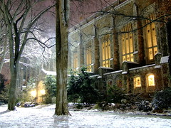 Law Library (Winter)