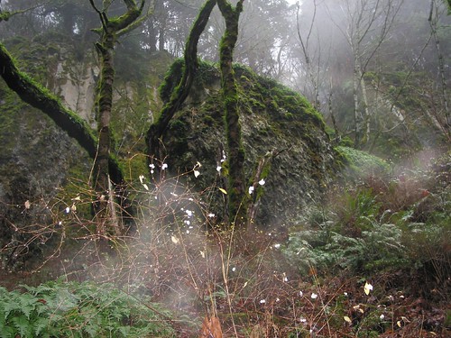 Spooky Rock in Columbia Gorge - (cc) stewickie