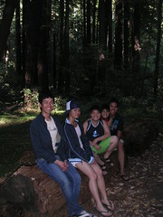Cousins at Armstrong Redwood Grove