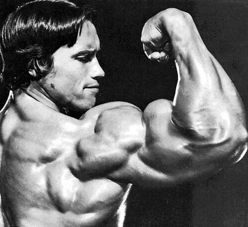 how did Arnold make so