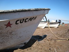 Cucapa boat