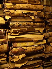 Beautiful books, New Orleans city archives