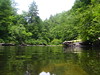 A Tennessee Swimming Hole