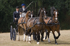 Catton Hall National Horse Carriage Driving 2006