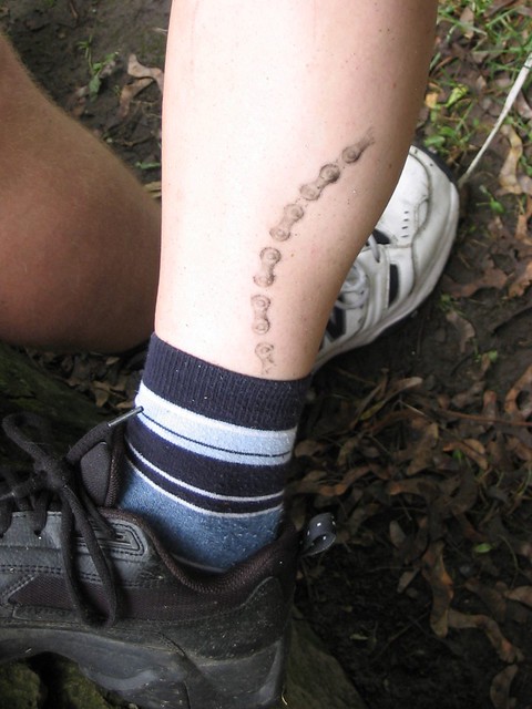 Heather's bike chain tattoo. Really just some neatly applied grease, 