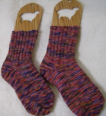 Maroon socks