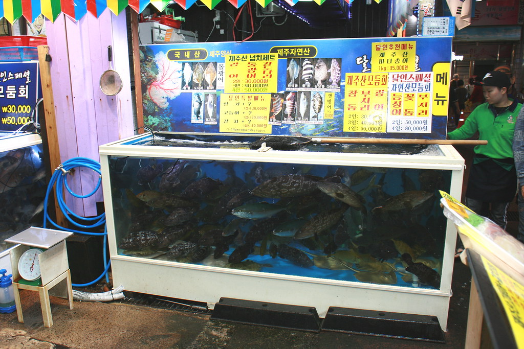 : aquarium