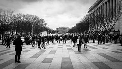 2017.01.29 No Muslim Ban Protest, Washington, DC USA 00312