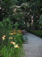 Gramercy Park, Lilies by NotLiz, on Flickr