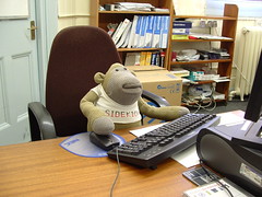 The Office Monkey