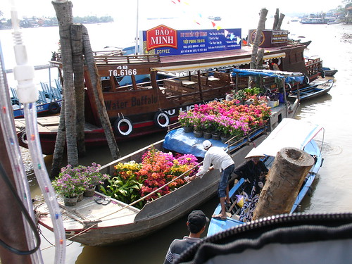 Flower delivery, Mekong Delta VN