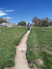 20060730 Trail