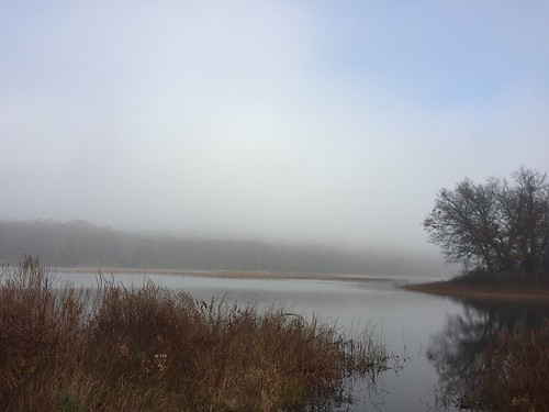 Foggy morning over Cassidy Lake ©  joannapoe