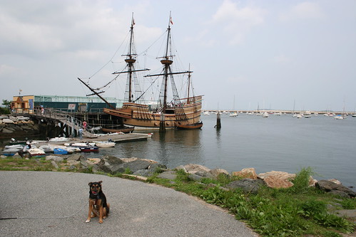 Sonny and The Mayflower 3