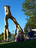 Tree Sculpture McCoy Park