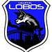 Memphis Lobos logo #5 (white eye & all text white)