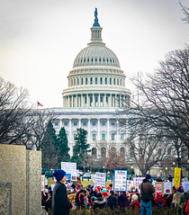2017.01.29 Oppose Betsy DeVos Protest, Washington, DC USA 00224