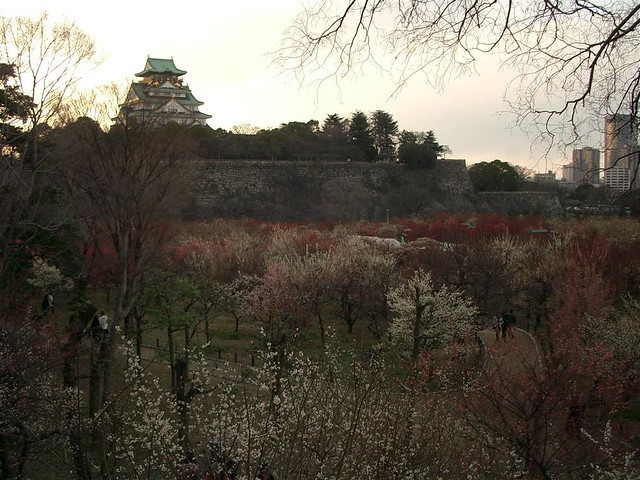 plum grove park(Osaka castle)