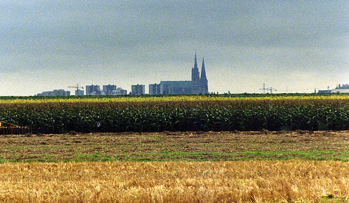 Chartres 1987