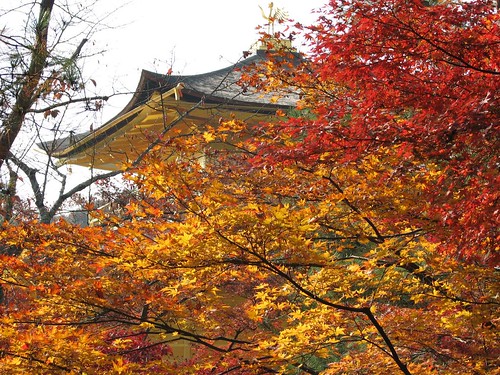 Kyoto Pagoda in Fall