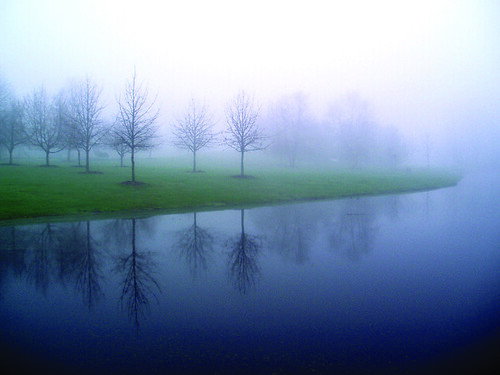 lake in mist