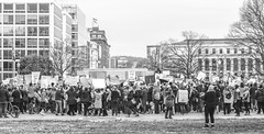 2017.01.29 Oppose Betsy DeVos Protest, Washington, DC USA 00257