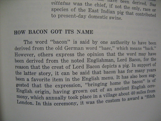 A lesson on Bacon by Librarianguish