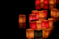 paper lanterns (hiroshima 2006 summer)