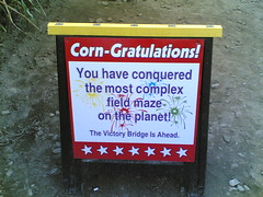Corn-Gratulations!