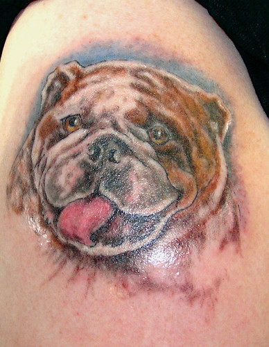 Bulldog Tattoo Here's the final