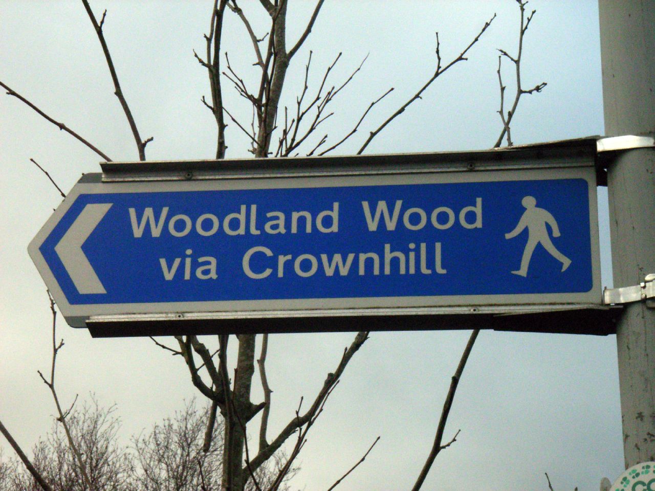 Woodland-Woods