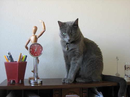 Qubit poses on my writing desk