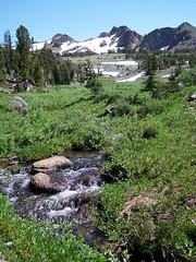 20060730 Creek
