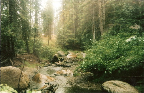 the creek at Camp