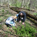Two students analyzing organisms on the ground in the college woods.