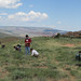 Restoration and Partnership with the BLM Wyoming Lander Field Office