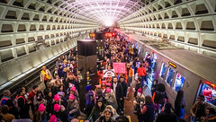 2017.01.21 Women's March Washington, DC USA 00120