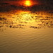 reflected sunset