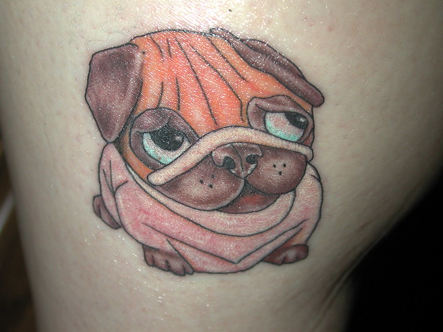 Kramer, my pug as a tattoo on my right inner calf muscle.