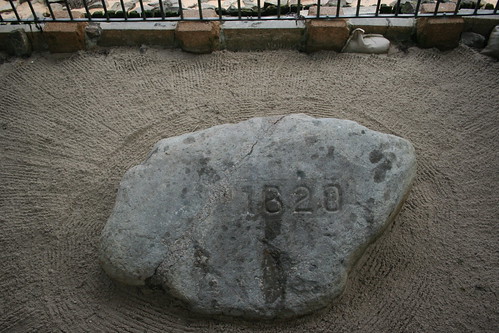 Plymouth Rock 2