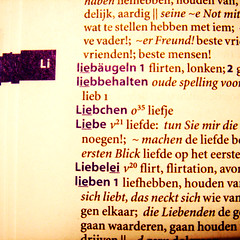 De liefde in het Duits-Nederlands woordenboek