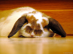 I'm so tired by jpockele on flickr