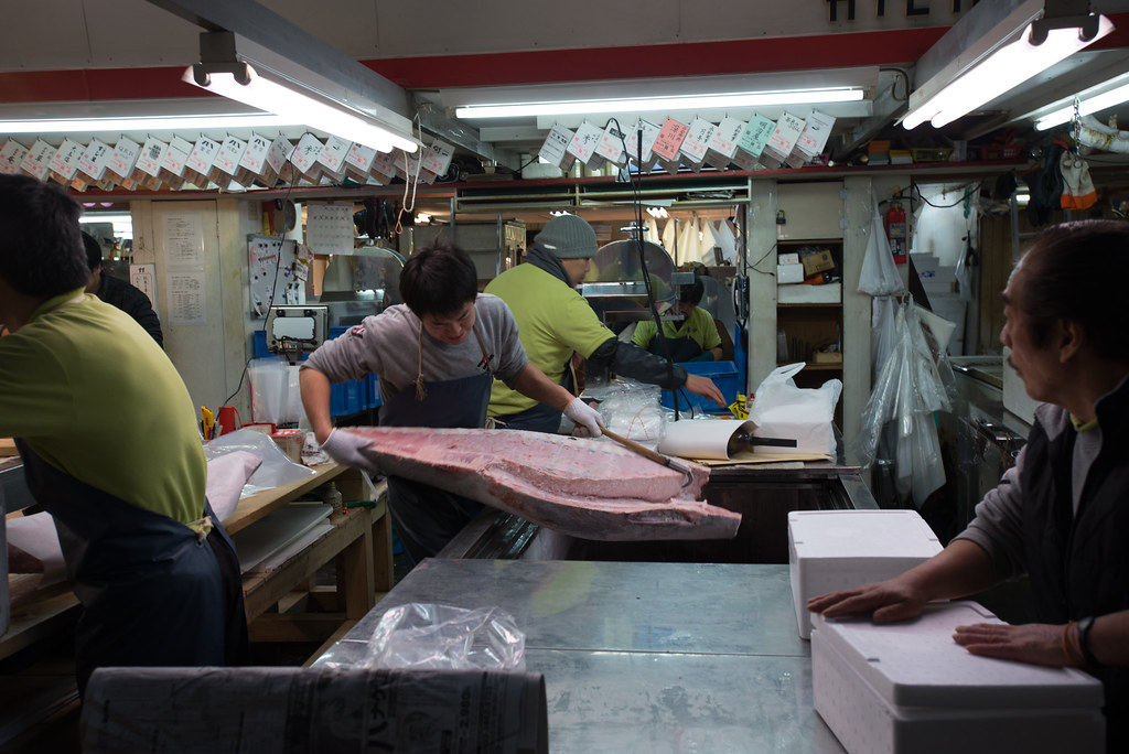 Cutting the tuna