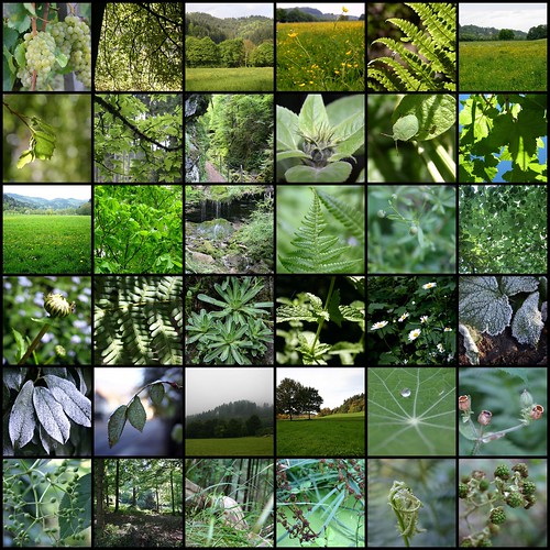 Colors of green (mosaic)