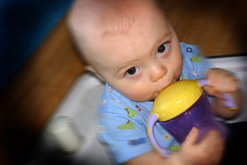 learning the sippy