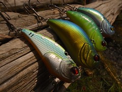 Lures for autumn