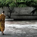 monk in courtyard