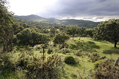 Sierra de Aracena (Huelva)