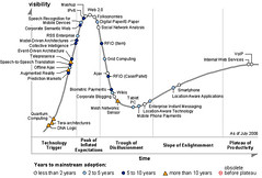 Hype Cycle 2006