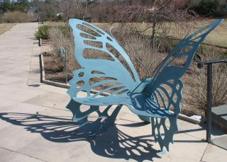 IMG_2878 butterfly bench